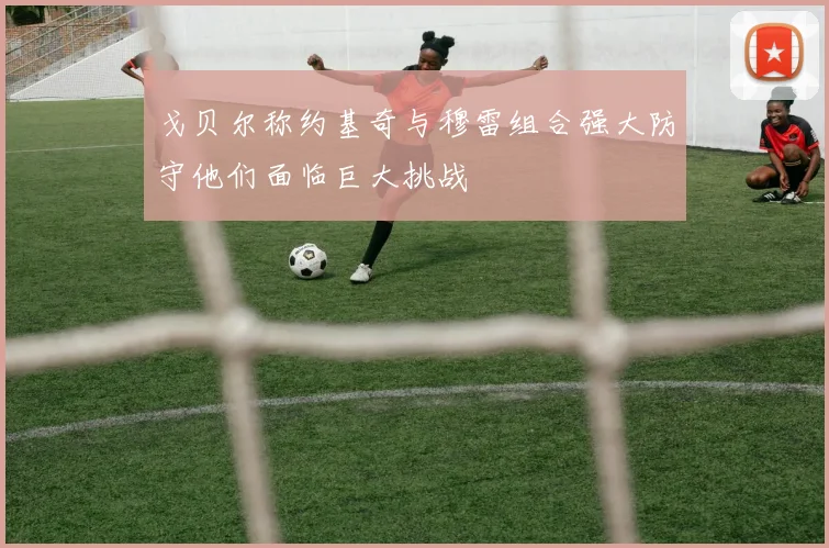 戈贝尔称约基奇与穆雷组合强大防守他们面临巨大挑战